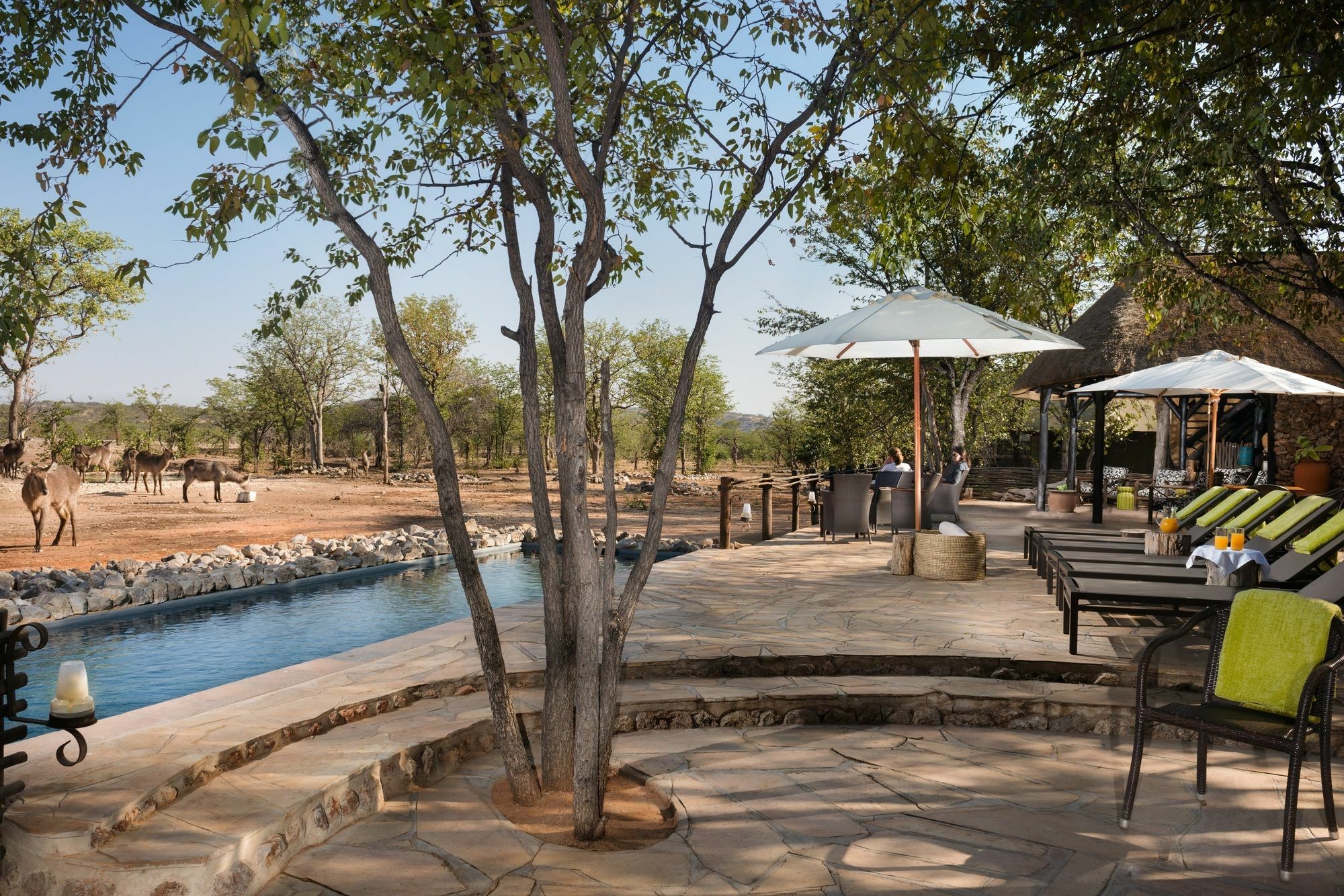 Ongava Tented Camp - All-Inclusive Okaukuejo Exterior foto